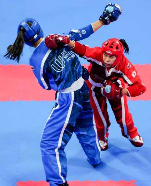 自由搏击和拳击区别在哪里？