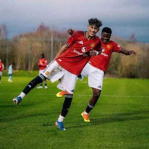 邮报：卡里克做出了两项关键调整