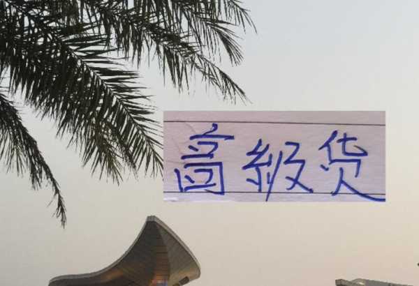 马莱莱又迎来新给力队友！联赛第一场重返申花他还会是高级货吗